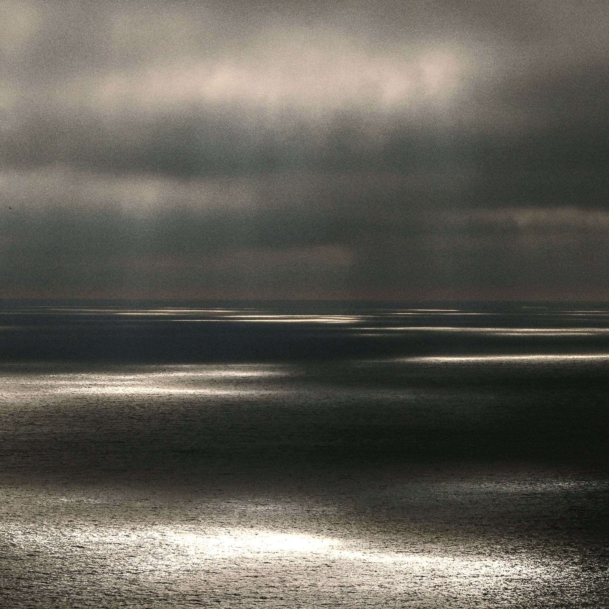 SRZH SKIN FUEL™ CLOTHS